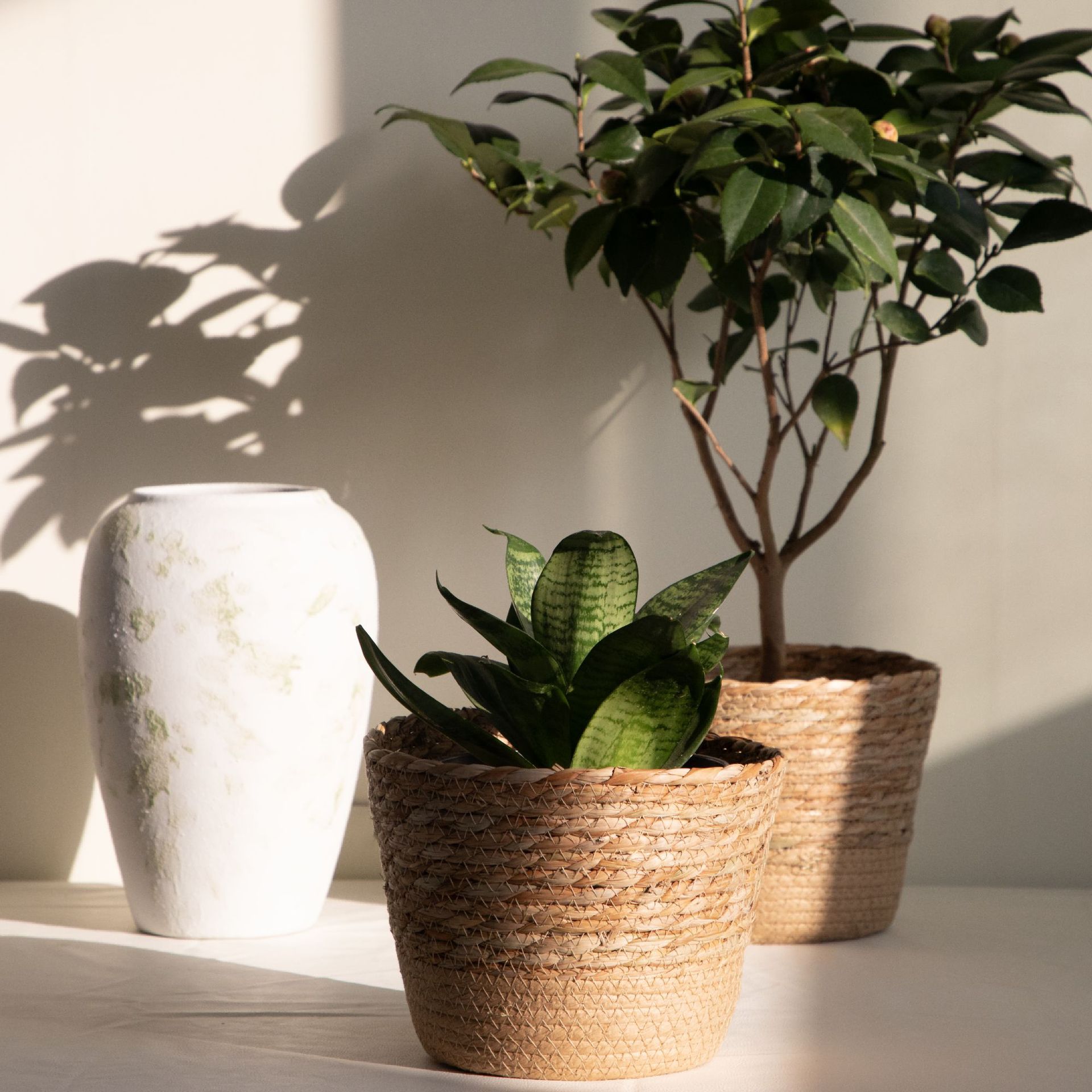 Multi-purpose Woven Storage Ba - Rattan Plant Basket 评论和价格