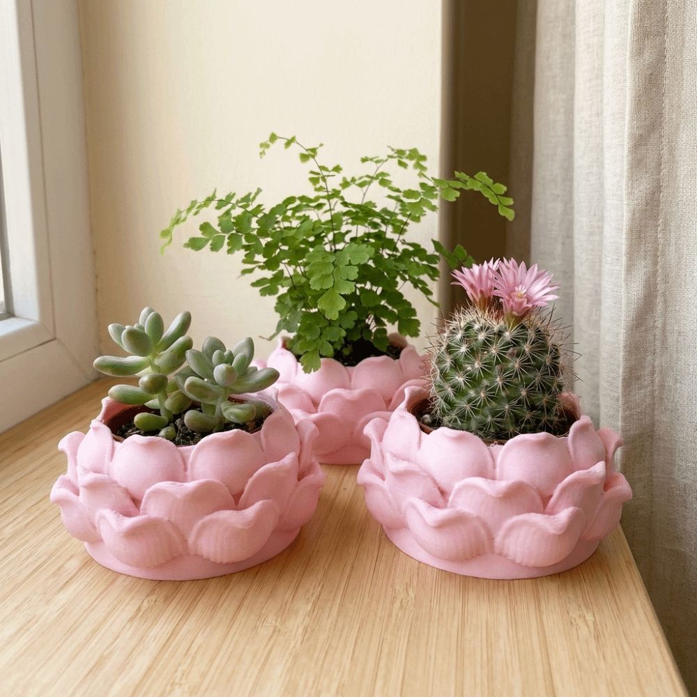 Lotus Shaped Succulent Plant P - Rattan Plant Basket 评论和价格