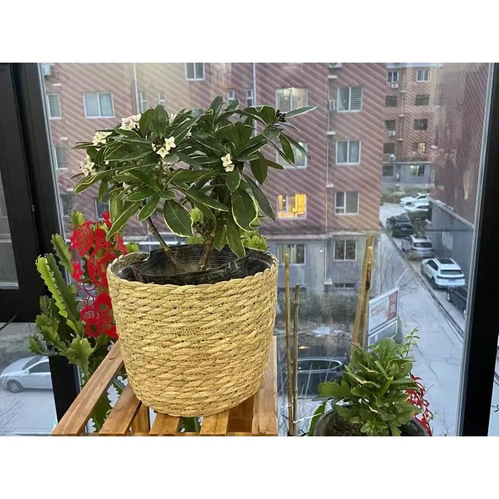 1Pcs For Garden Terraces Flowe - Rattan Plant Basket 评论和价格